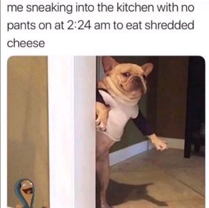 Meet your Posher, Jean